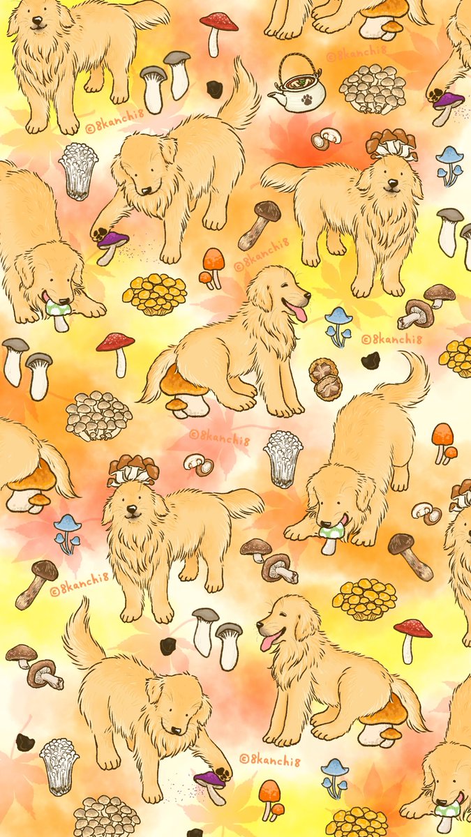 かんち（8kanchi8）@書籍『今日もゴールデンレトリバーに癒され