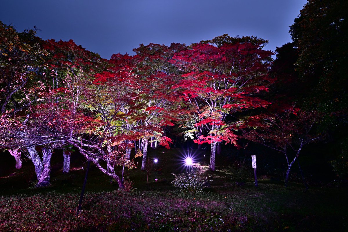 kokopapa6843's tweet image. #土津神社 #空ネット #ふくいま
おはようございます😊
今朝も寒い会津若松市です。
さて今、猪苗代町の土津神社では紅葉のライトアップが開催されていますが、今年も綺麗でしたよ。
今週末から来週にかけてが見頃かな👍
寒いので防寒対策して行きましょうね、あっ後、熊対策も😅