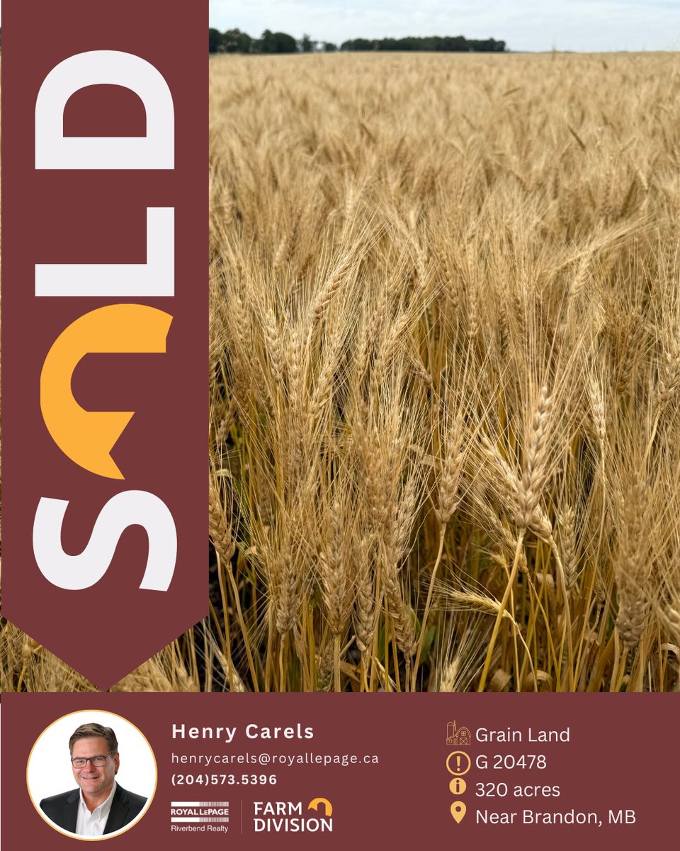 SOLD 320 grain acres near Brandon, MB #wesellfarms #yourfarmteam #grainland