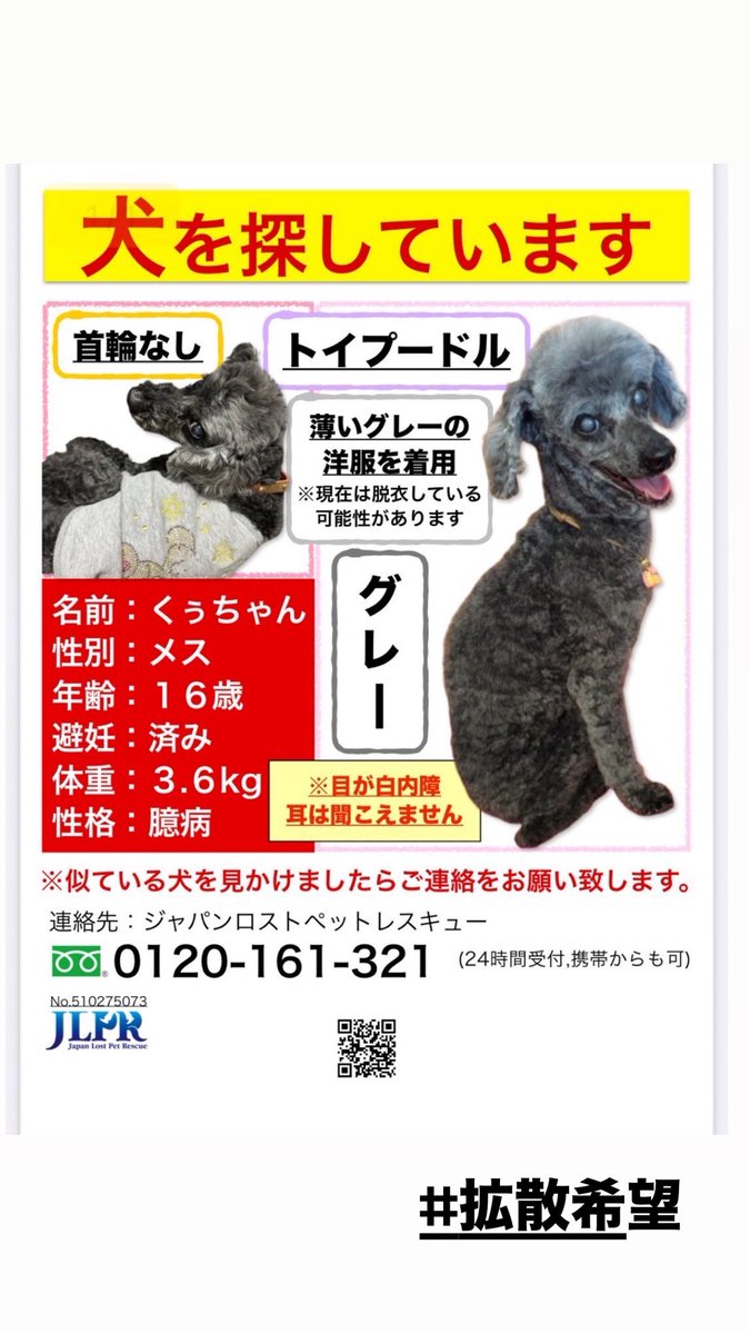 いし犬 shizuka on X