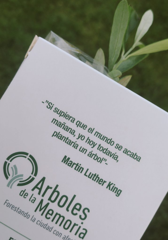 fui al parque de paz a buscar la urna con las cenizas de mamá y me dieron de bonacorsi un arbolito para plantar me parece re lindo