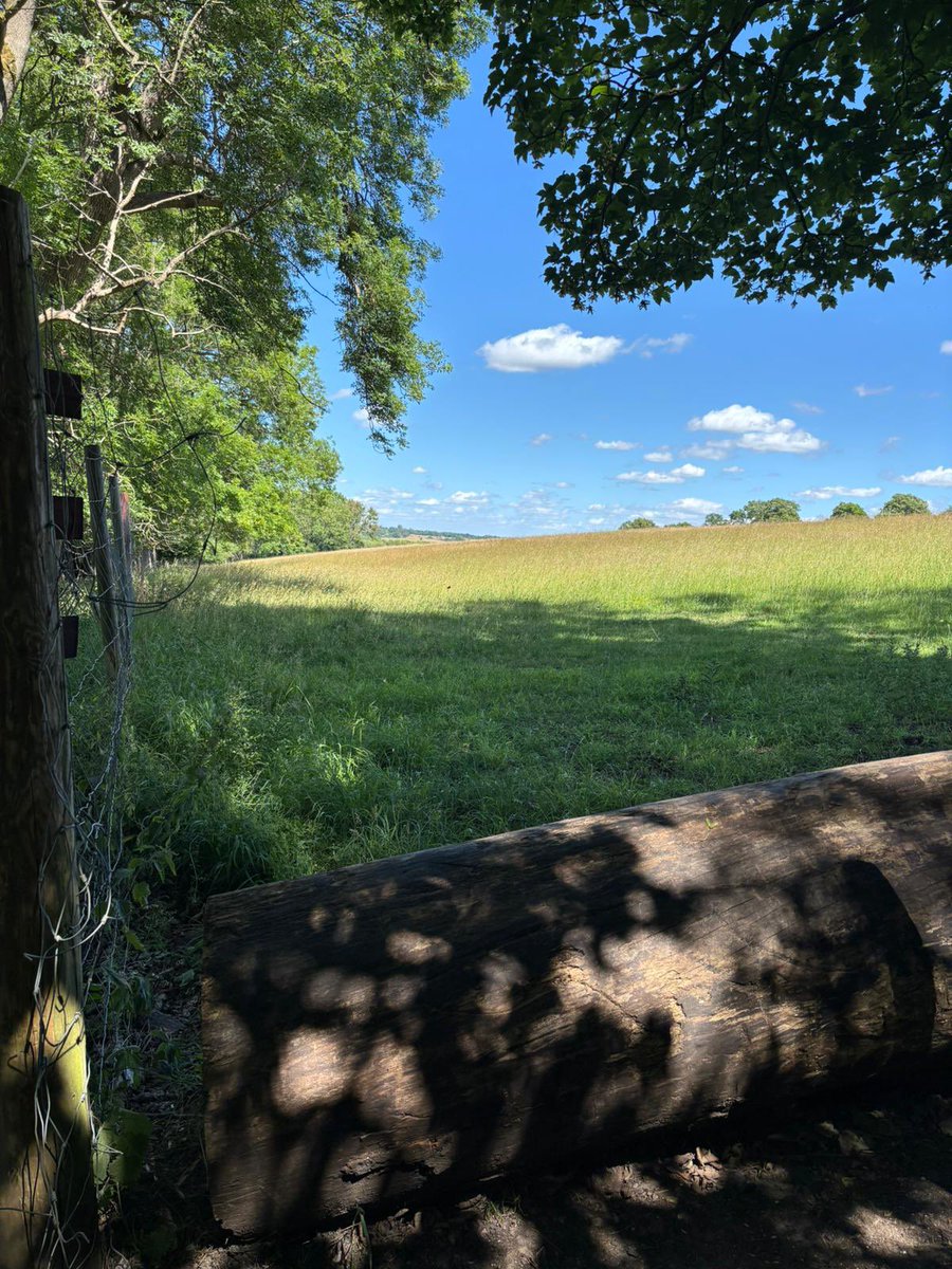 2500 acres of Hertfordshire #Greenbelt to be developed, or under threat, because of the “grey belt” definition 😡 <a href="/UKLabour/">The Labour Party</a> claiming brownfield is  first and saying #Greenbelt is protected.
IT’S A LIE! 
Please sign ✍️ the petition to get to a 100K! 
share.google/cY6s8pdtJl5QaQ…