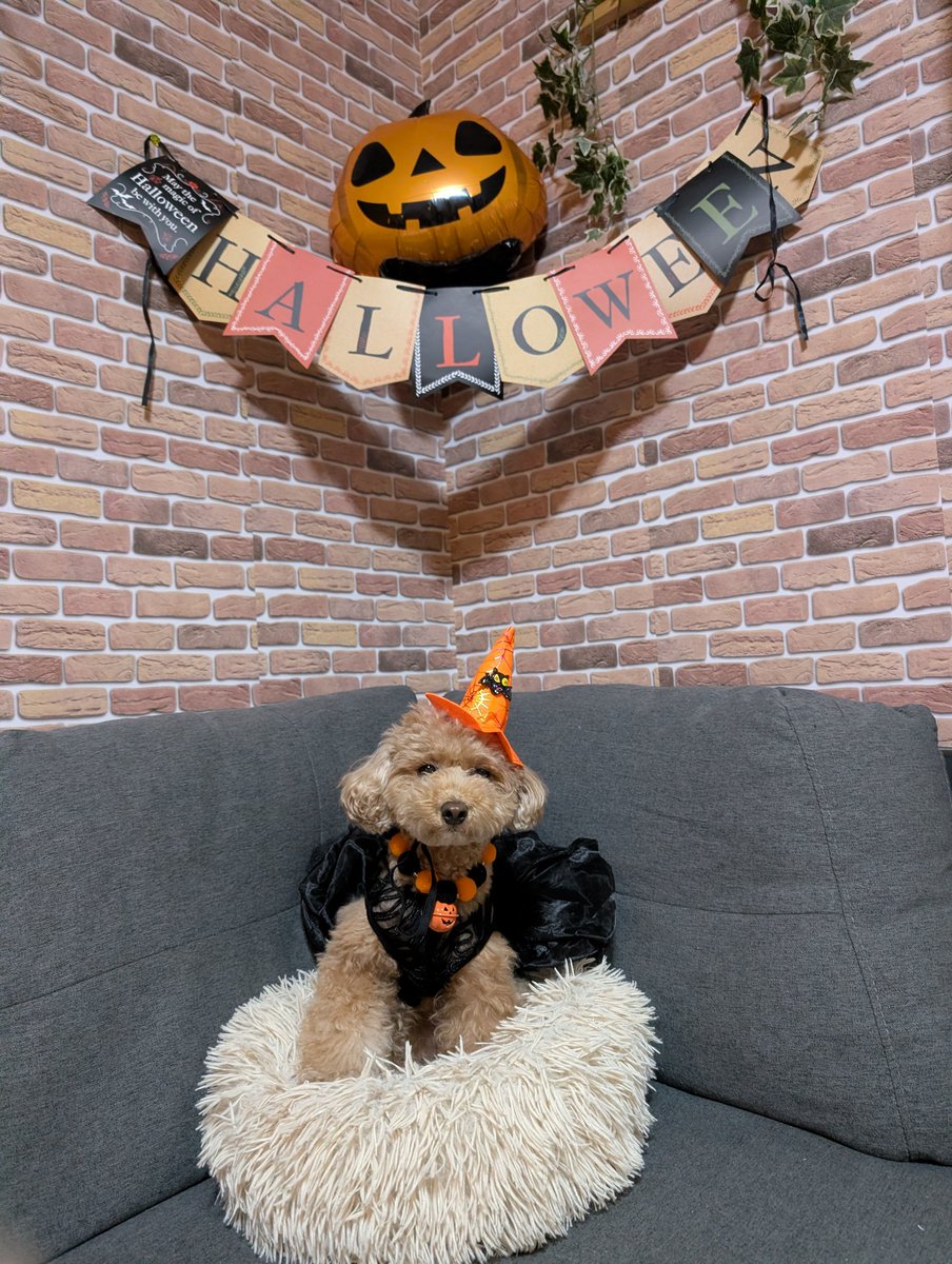 ゆず＆ライム on X