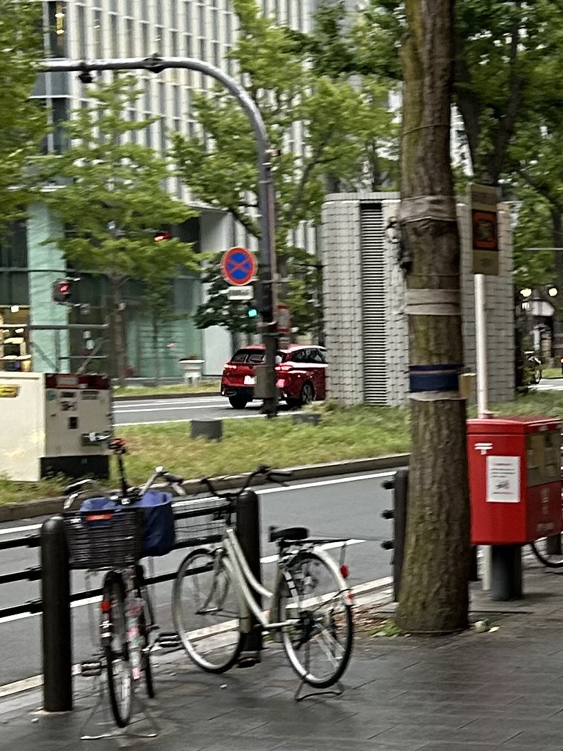 小雨が降りだした御堂筋で
赤の🦁を発見👀🇫🇷🚗💦