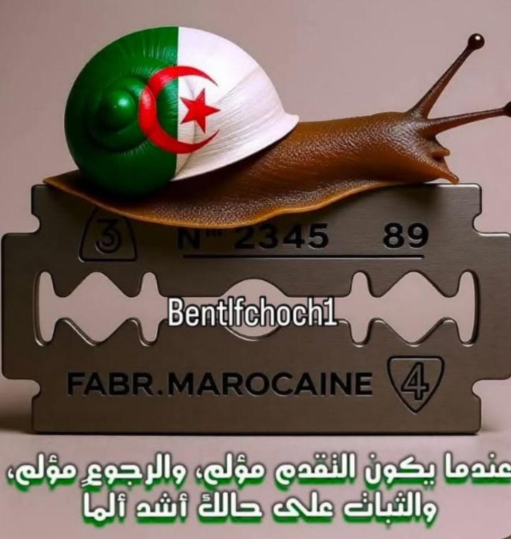 #الصحراء_المغربية