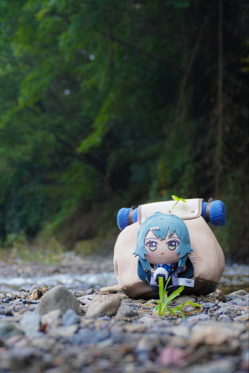 無能大佐@犬 (@yyj6VMasl466065) / Posts / X