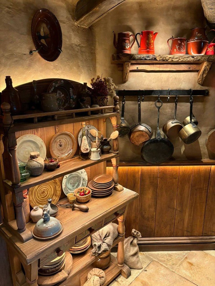 SwanEcho tweet media