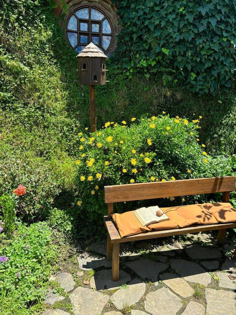 SwanEcho tweet media