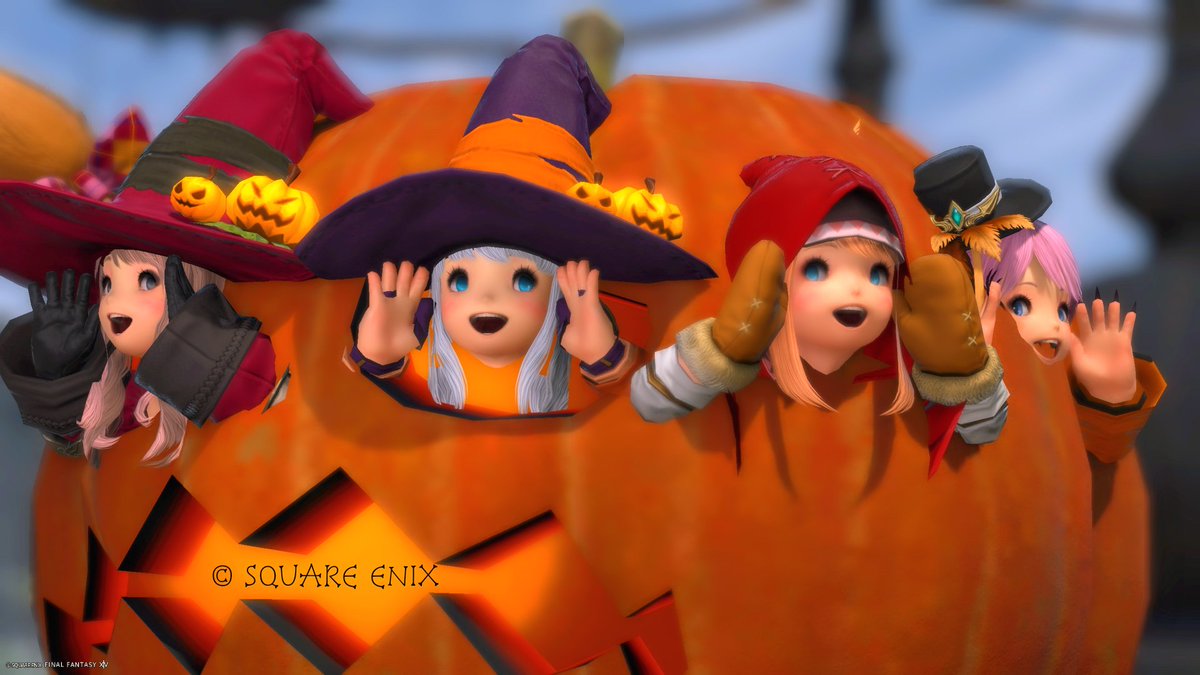 ff14mariya's tweet photo. 👻Happy Halloween🎃

お菓子くれないとカボチャに隠れちゃうぞ🍭🍬🍫🍿🍩
#おはララ #おはマリヤ #ララフェル #FF14 #FF14SS  
© SQUARE ENIX https://t.co/TD5naSlEIx