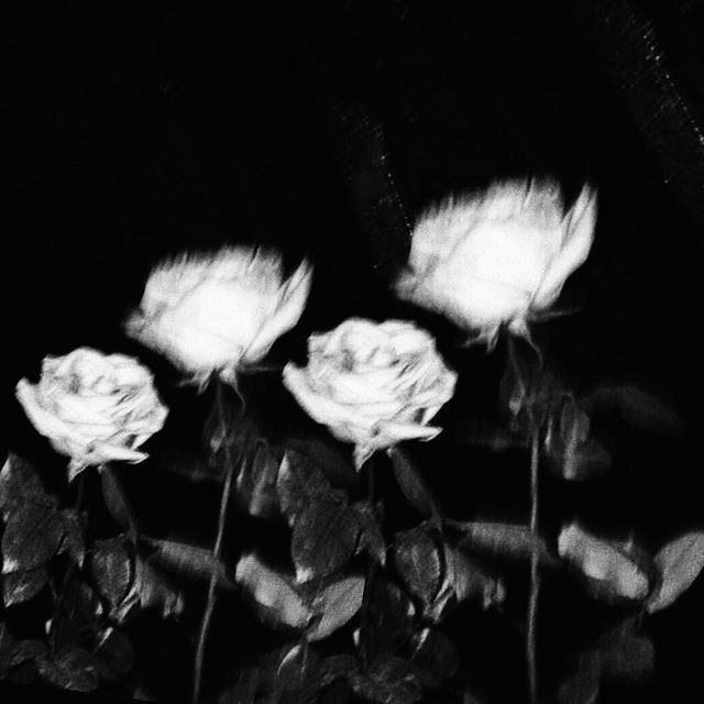 Black. (@blackdreamvibes) on Twitter photo 