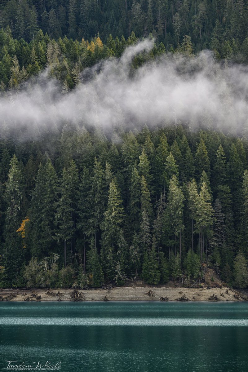 MimiRitZ244's tweet image. The water in some of our lakes can be incredibly mesmerizing—teal with such clarity, paired with this beautiful burst of fall colors! 🍂📸😎

#pnw #sonorthwest #fallcolors #fallvives #Autumn #autumnvibes #autumnleaves