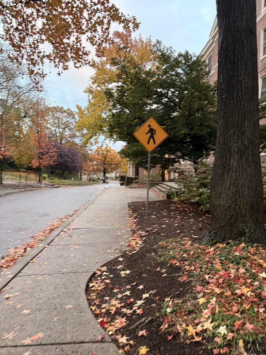 russtrome's tweet photo. pics from today #yay #ilovefall https://t.co/FJpCtW6QWE