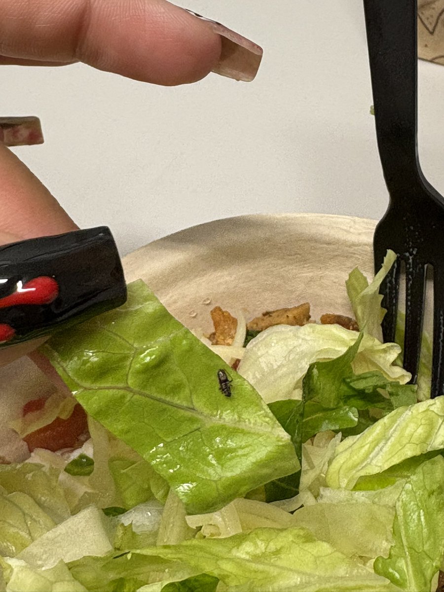 Native_Mami32's tweet photo. Ewww this is why I stopped eating chipotle .. @ChipotleTweets what is this ?#buginmyfood https://t.co/eFPswsG2qL