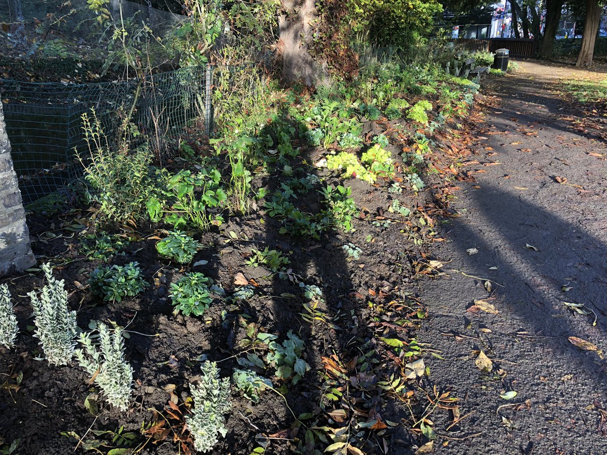 Thank you Bridge Street Gardens volunteers,  <a href="/harrow_council/">London Borough of Harrow</a>, and <a href="/PinnerAssociat/">Pinner Association</a> for the new plantings in Bridge Street Gardens. 
Looking good already.
Looking forward to seeing the plants grow in.