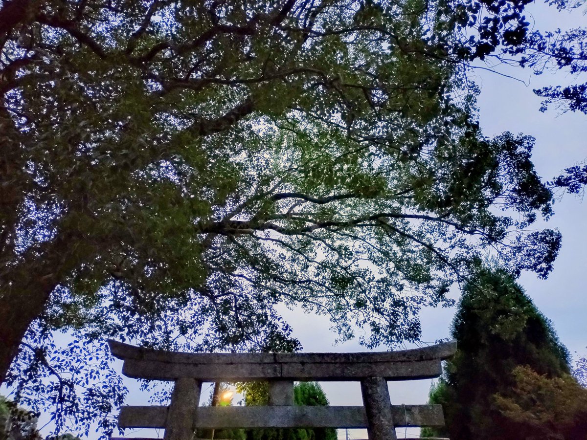 もーにん☁今日で10月も終わり！ってことで神社に参拝⛩️今月も早かったぜ！本日の配信は14時からの予定です📻️今月最後の配信、遊びに来てぬんっ🫶

#おはよう #神社