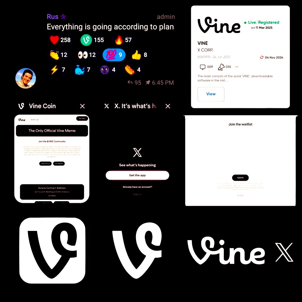 ShahabadiX's tweet image. Buy $Vine and build your life 🌱😎