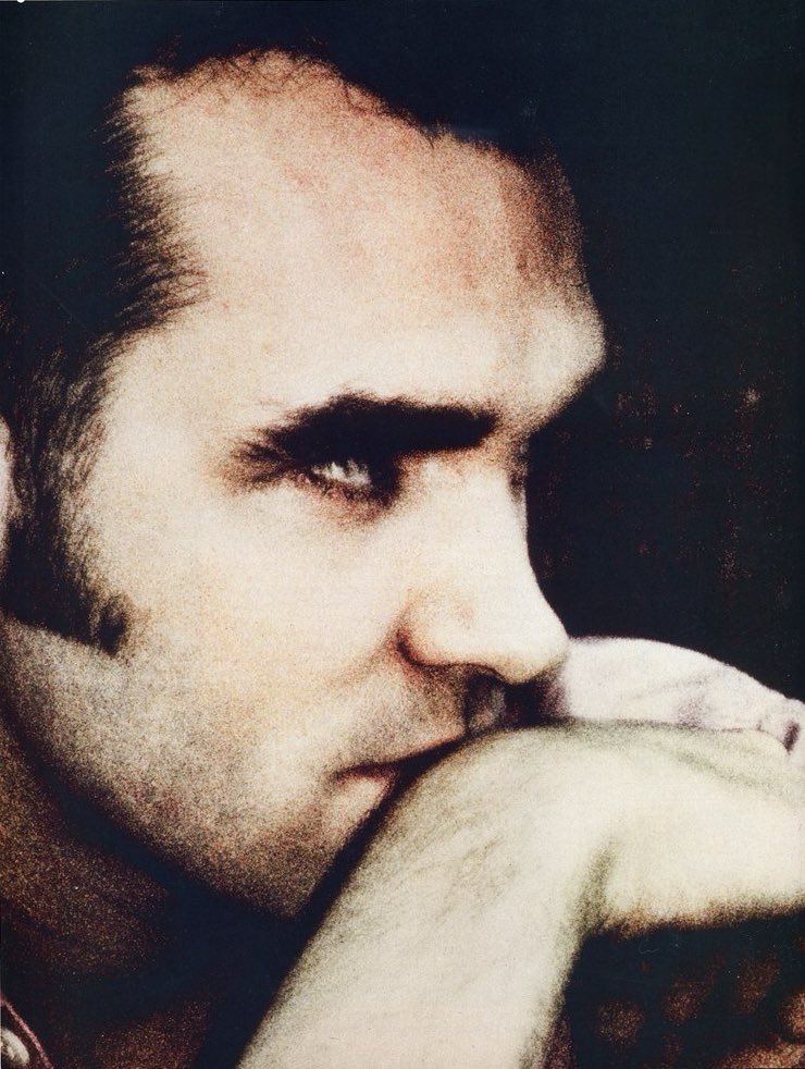 morrissey pics every day tweet media