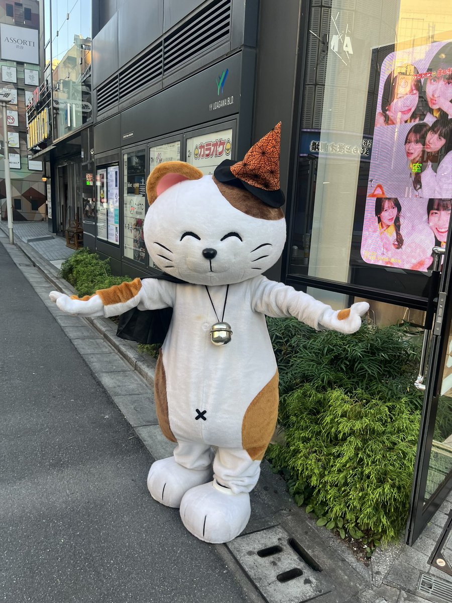 庄司 洋介 𝖸𝗈𝗌𝗎𝗄𝖾 𝖲𝗁𝗈𝗃𝗂 (@_yosuke_shoji_) on Twitter photo 