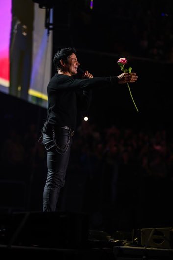 Chayannefans_'s tweet photo. ¡Esta rosa es para ustedes! Las quiero ❤️ https://t.co/FRsRXrI5ay
