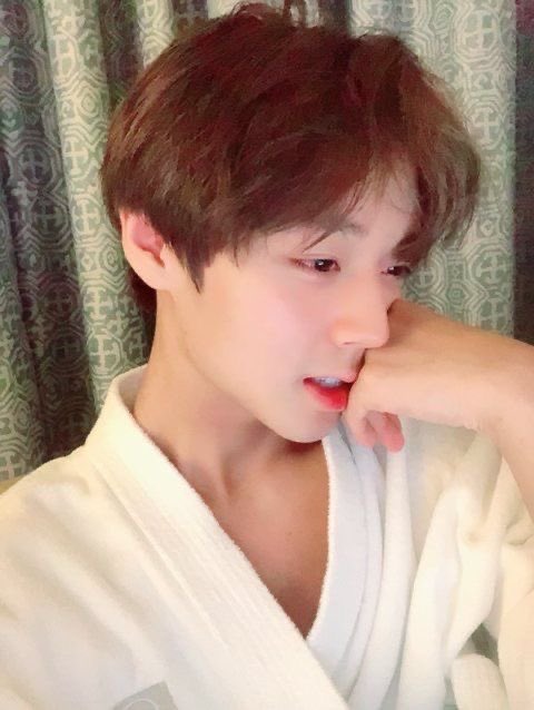 bisexwookie's tweet photo. sometimes i just genuinely lose my shit looking at the pictures jihoon takes of himself cause why does he make it so slutty and provocative and omegaful Just such a fucking tease all the damn time bro https://t.co/sSznUT65VD