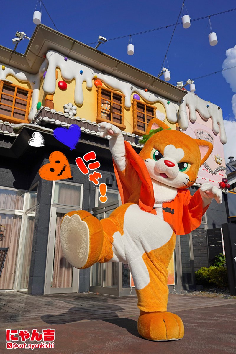 にゃん吉ページ にゃん吉ページ にゃん吉【公式】Nyankichi (@cat_nyankichi) / X