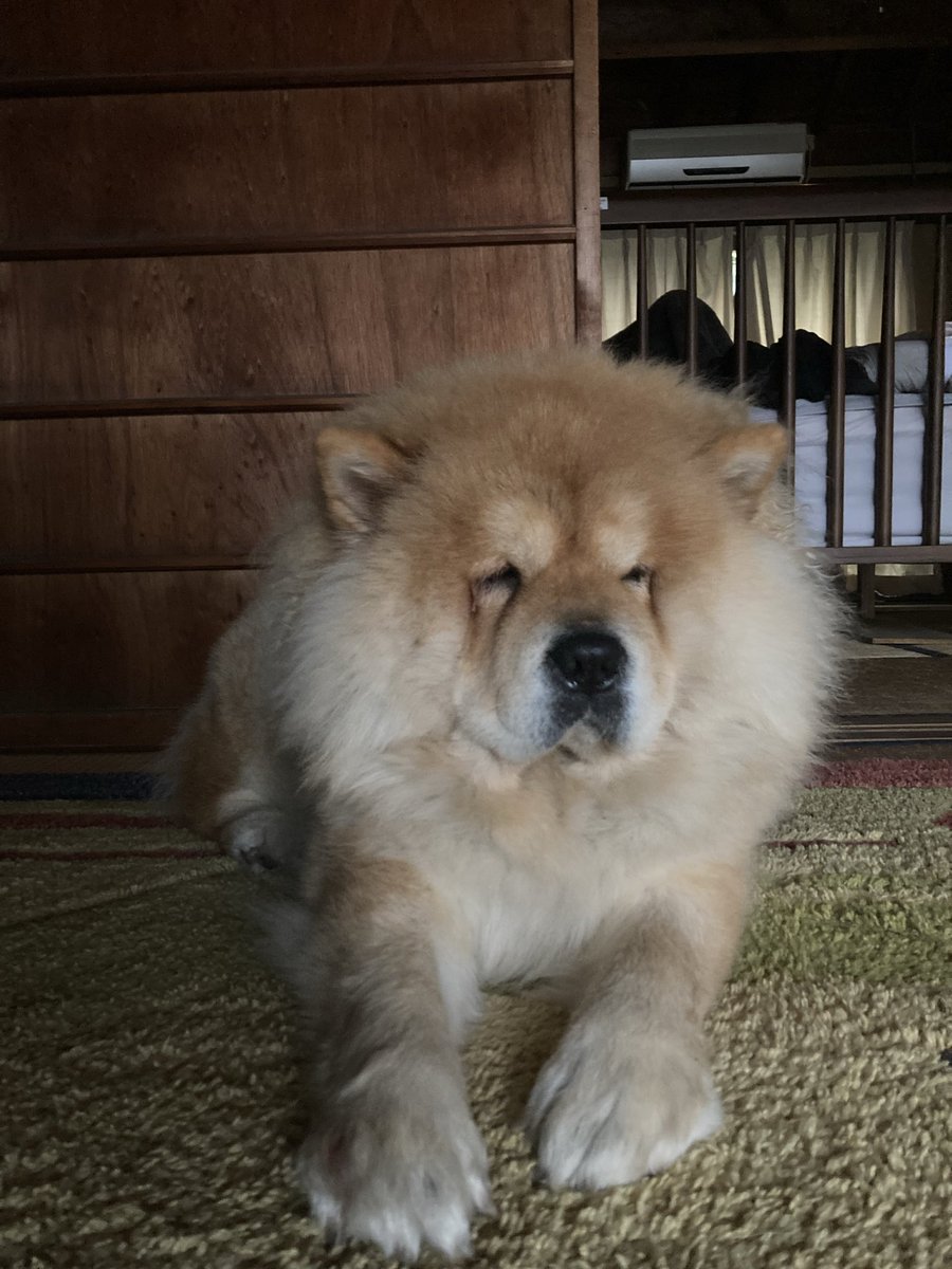 おはよう!スパンク1