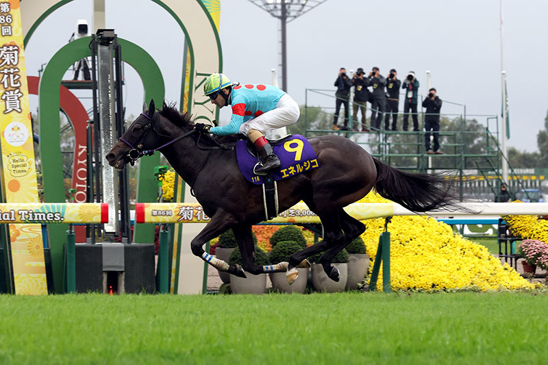 jimuin7035's tweet image. アメブロを更新しました｡『3096 初の右回りも関係なかったし､強かった～｢第86回菊花賞競走｣｡』
⇒ ameblo.jp/senohia7027/en… #アメブロ @ameba_officialより