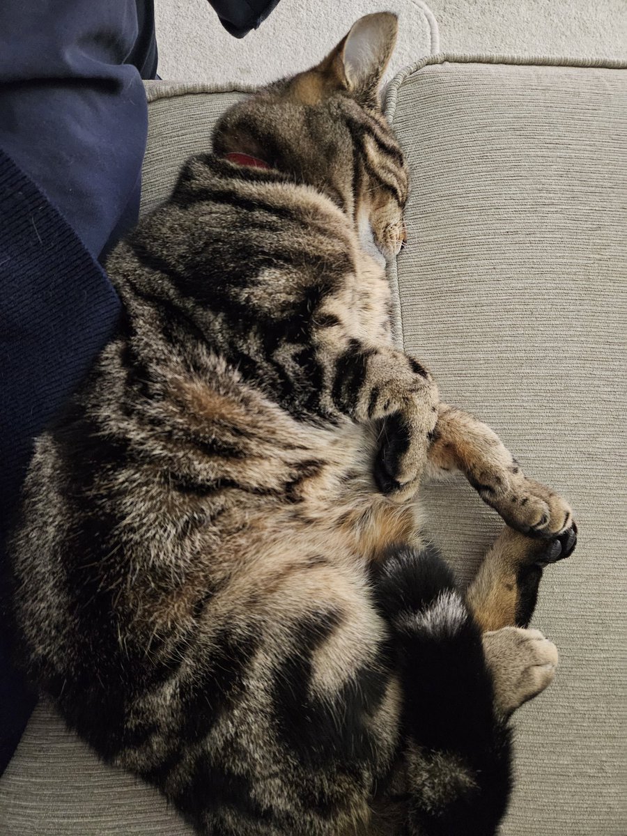 Someone has got a very smelly bottom. Pheweeee 🤢