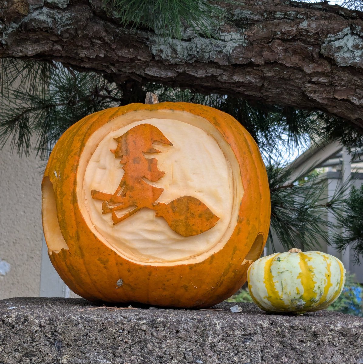 おとらorange (@otora4chu_chu1) / Posts / X