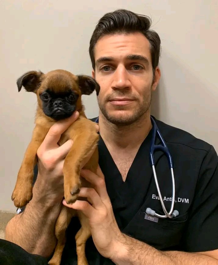 ust_van95180's tweet photo. @TrumpWarRoom @karolineleavitt @WhiteHouse @MaryMargOlohan “As your trusted veterinary expert 🩺🐾, I provide care advice and offer healthy, well-bred pet dogs for sale anytime 🐕✨. Message me for expert help or dog inquiries 📩—your pet’s well-being matters most ❤️.”“As your trusted veterinary  🩺🐾, I provide care advice https://t.co/nuFUmSWpgc