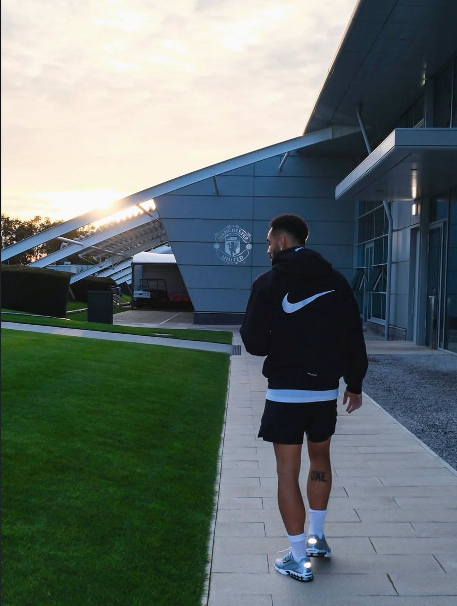 (fan) Frank 🧠🇾🇪 tweet media
