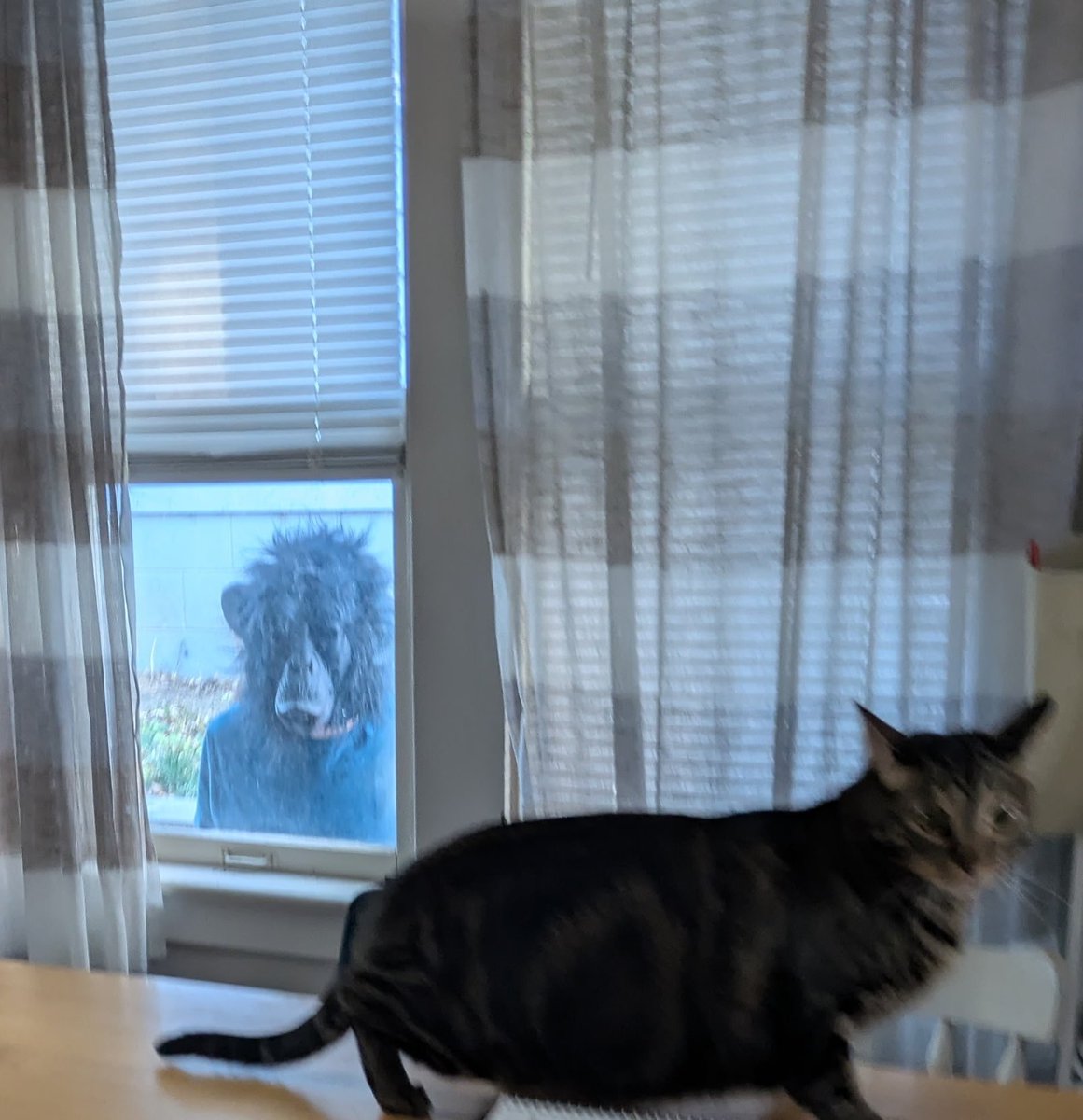 Monkey Man confirmed! Spotted in Iowa!