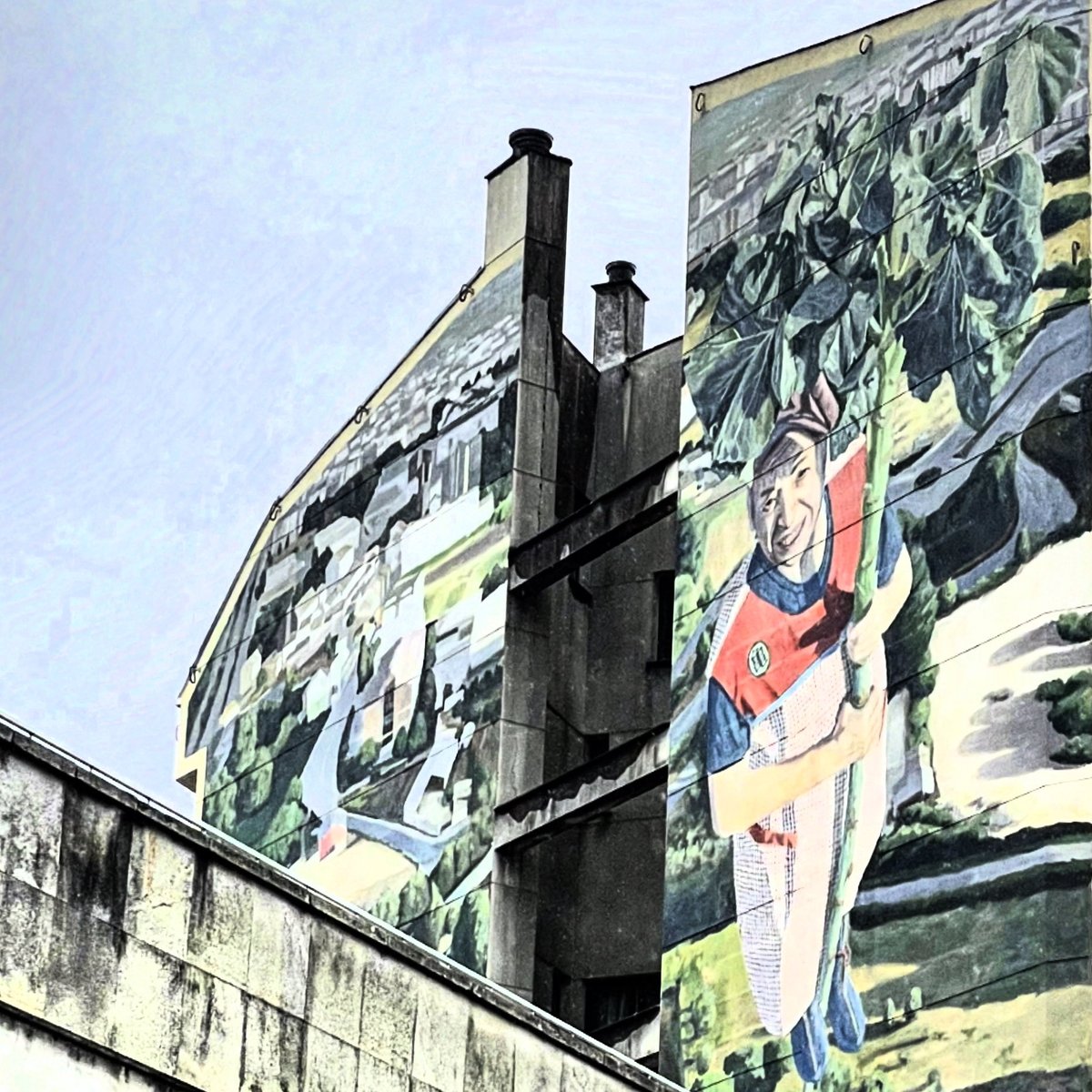 NExSpain's tweet photo. Granny and the Kale Stalk. Tribute to hard working rural grandmothers, pillars of power. #streetart #muralart #mural #beautification #art #grandmothers #NorthernSpain #privatetour #customtours https://t.co/2FzdpIRPpZ