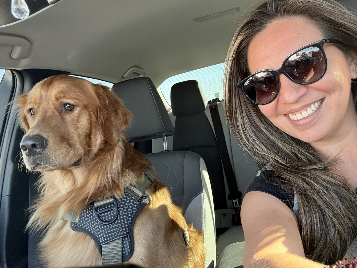 syntaxish's tweet image. I really dislike your driving grandma!