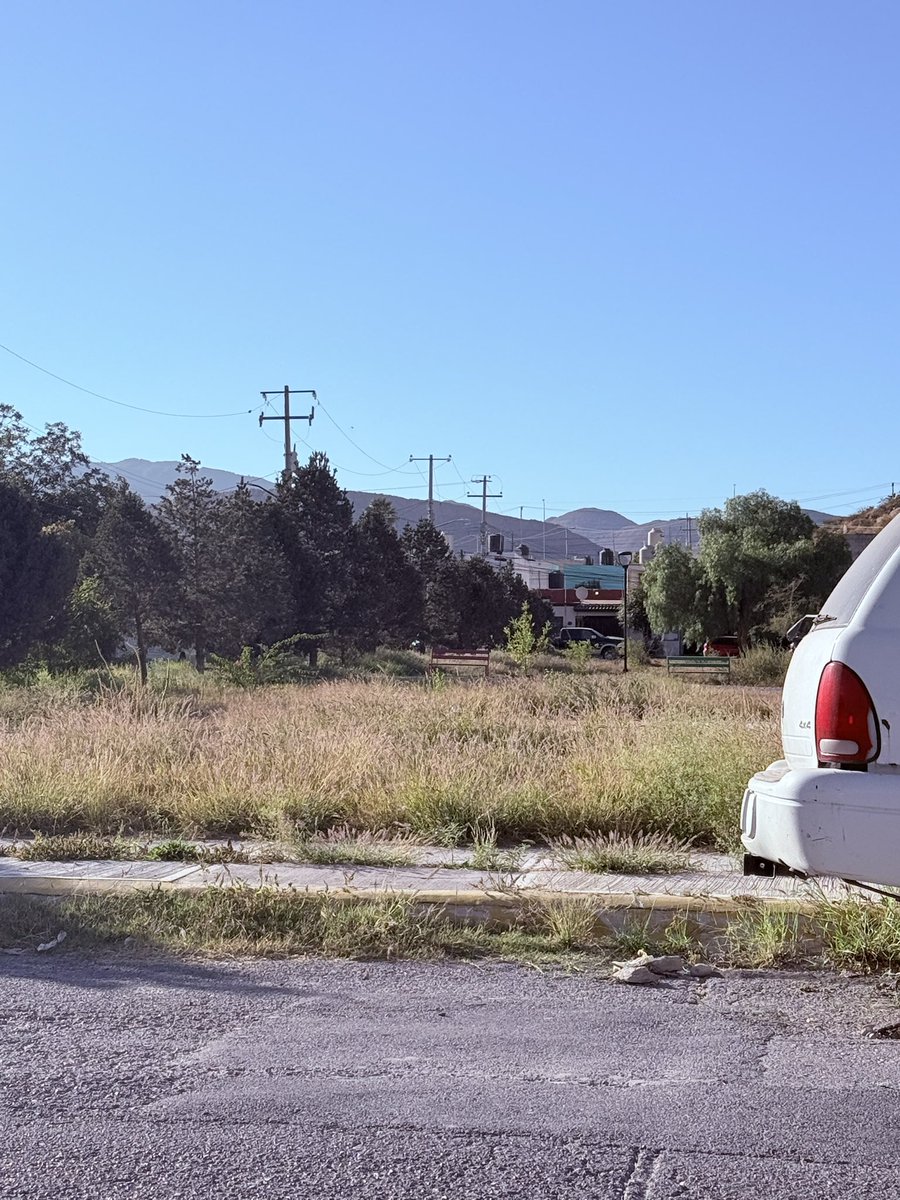 Carlos Ch. tweet media