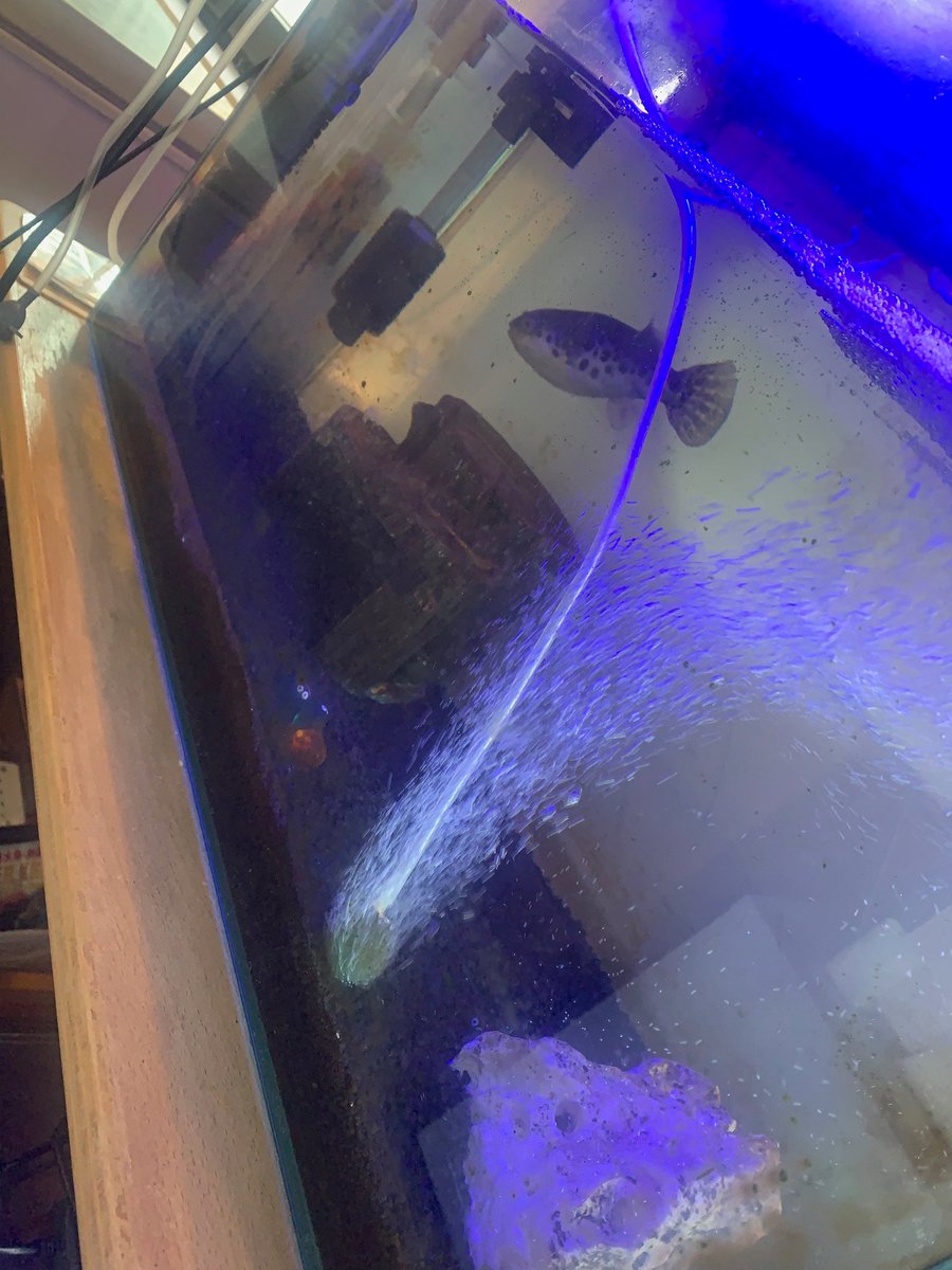 2026年4/24(金)公開📯 『最終楽章 響け！ユーフォニアム 前編』 本日