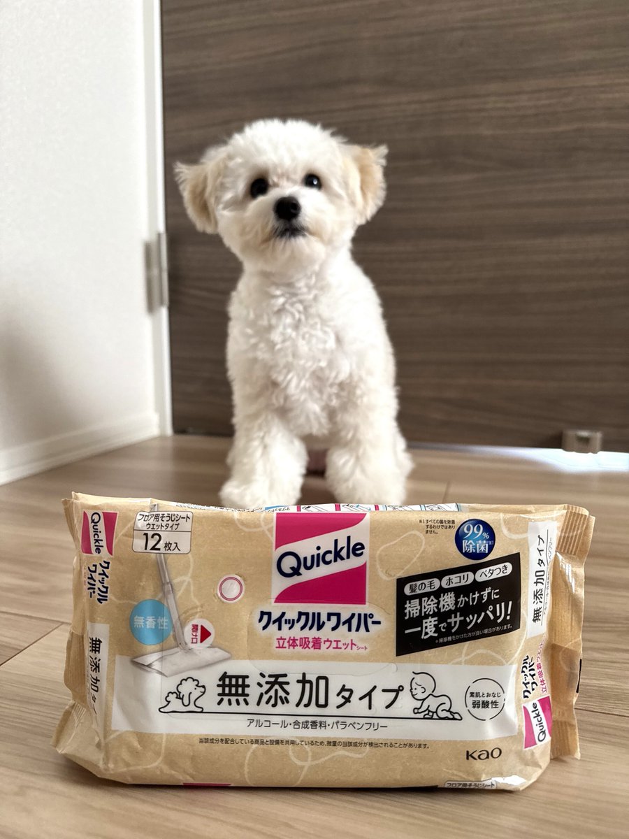 るぅたんページ Z/X -Zillions of enemy X- 10th Anniversary Album 「IGNITION」 | CD