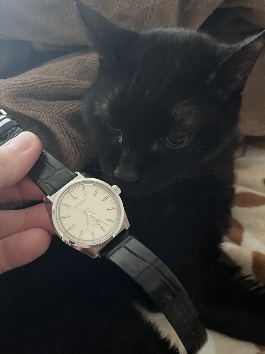 趣味の世界 on X