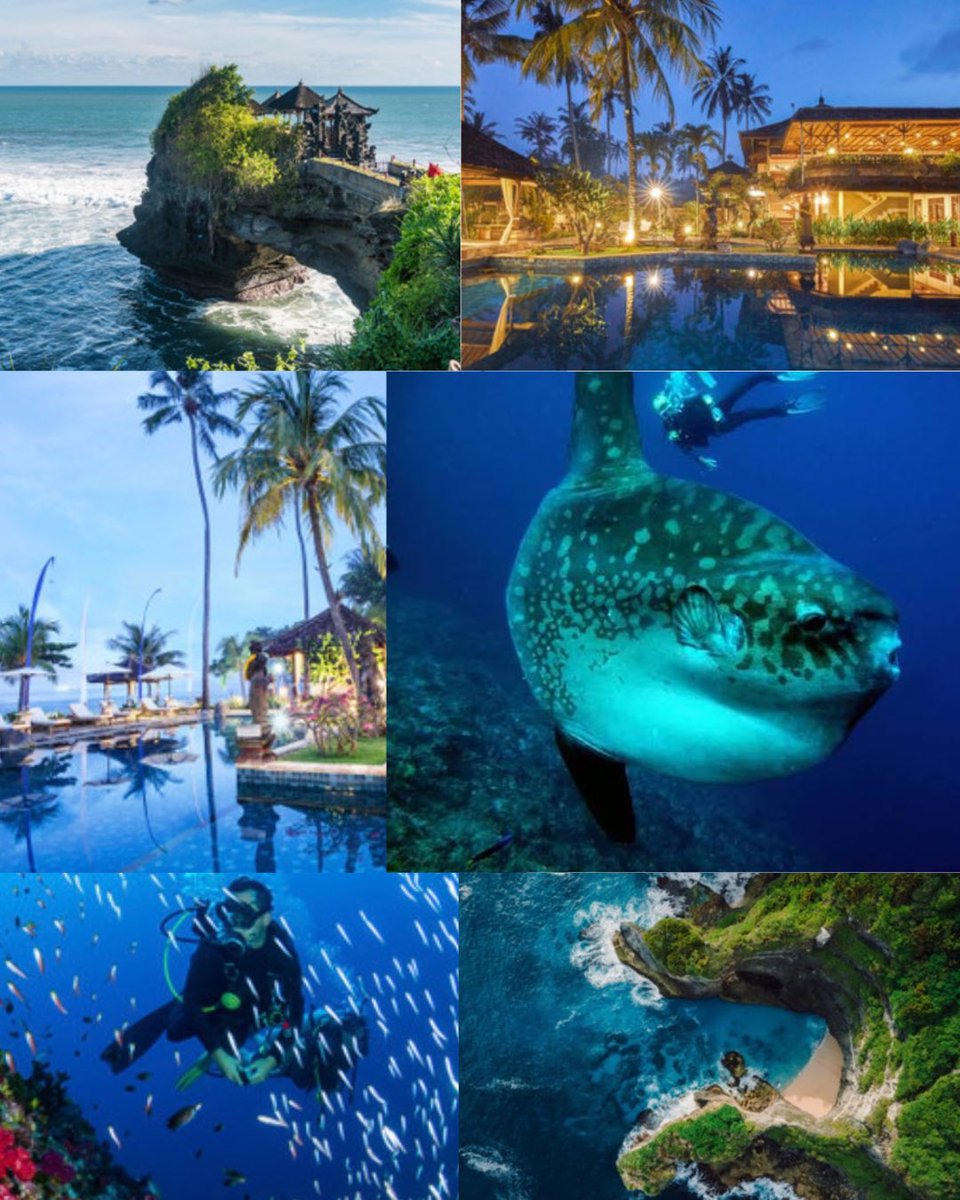 Join us this July 11-24th! Get ready for an incredible Eco Dive Center trip to Bali this July. Experience world‑class diving with Manta Rays, vibrant coral reefs, and the legendary WWII wreck, the USAT Liberty. Above water, take in Bali’s culture—visit ancient temples, wander