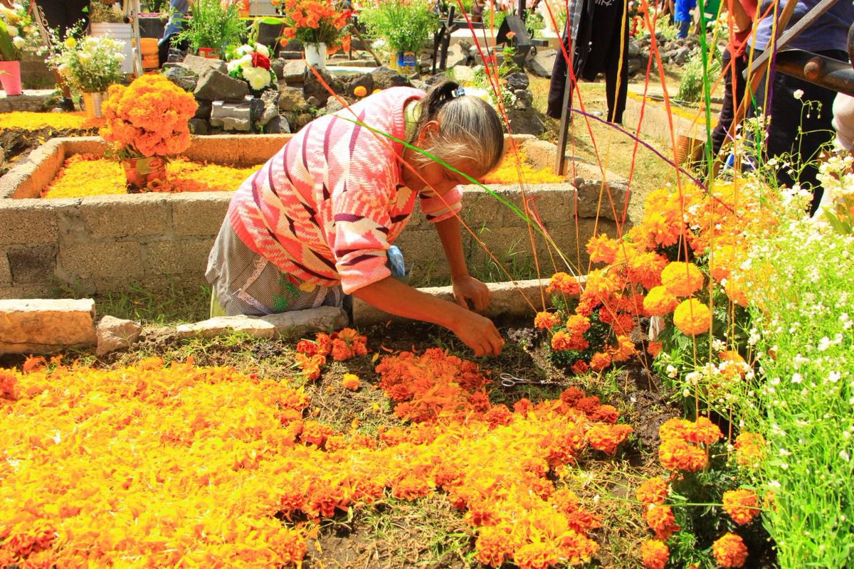 Hoy‼️

Especial del #DíaDeMuertos en Milpa Alta #CDMX 

Invitados: Saúl Rios Flores, Manuel Garcés Jiménez y Gloria Medina Robles.

📻 #RadioCongreso
🎙️<a href="/floresaquino/">Juan Carlos Flores A</a> 
⏰ 17/18 hrs #EnVivo

📲 canaldelcongreso.gob.mx/radio 🎧

📍<a href="/CanalCongreso/">Canal del Congreso</a>

📸 Airam Roque