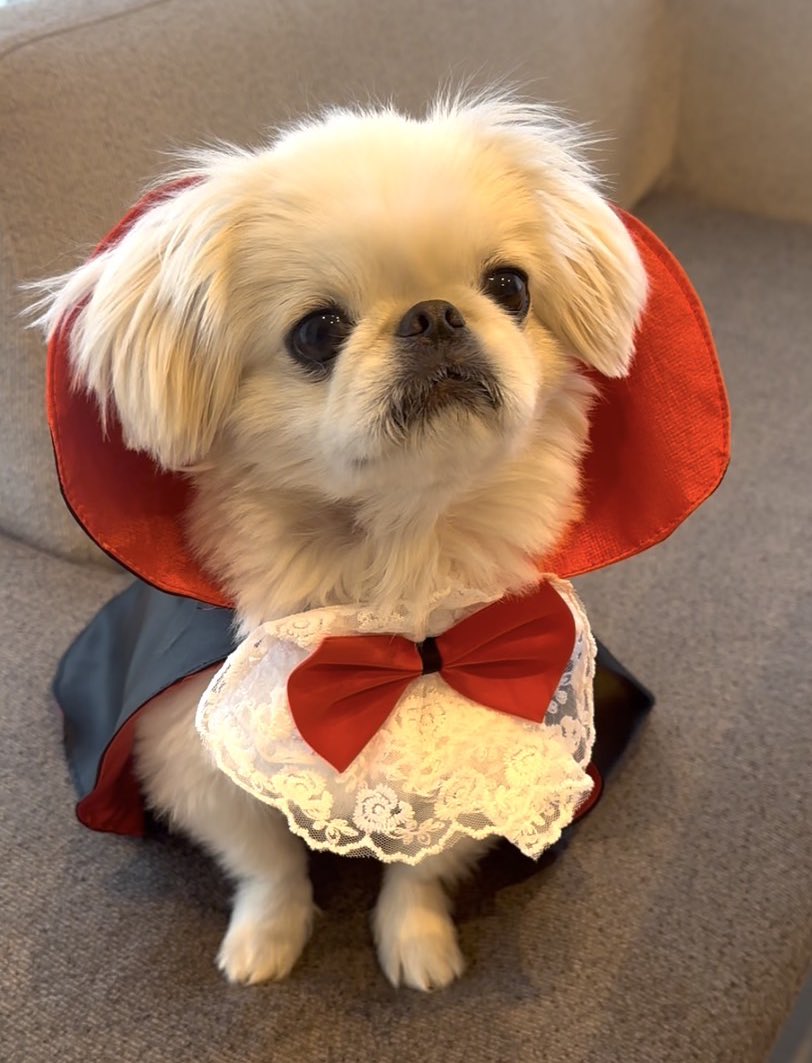 むぎ★ 🍻むぎ🍻 (@nanashi_cd) / Posts / X