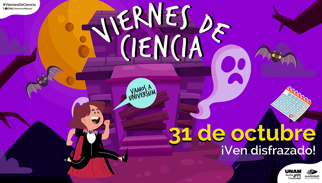 UniversumMuseo's tweet photo. 🚨¡Detengan todo! #Universum está por convertirse en la pasarela de disfraces más épicos🧟

Ven este #ViernesDeCiencia y sé parte de nuestras increíbles actividades mientras usas tu disfraz más aterrador:
¡Nos vemos mañana!
https://t.co/c3X2wlRkCw @DGDCUNAM @UNAM_MX https://t.co/XcUjAgn2Ed