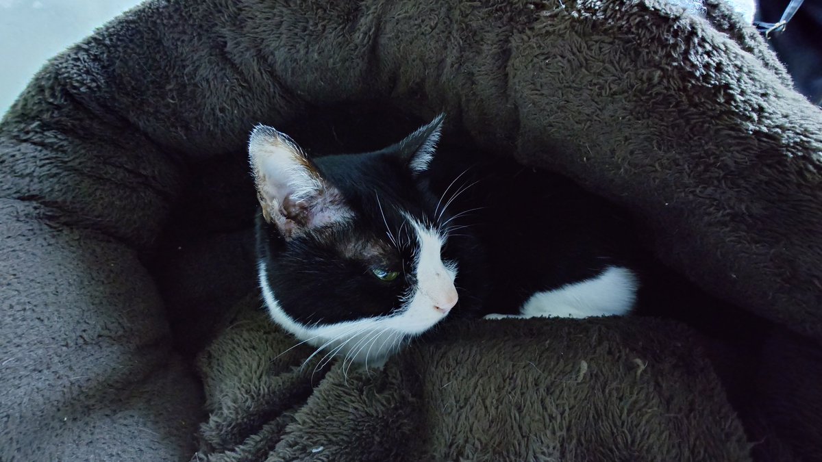 ひろっぺ ひろっぺ☝️🎹🔥 (@hiroppe_7) / Posts / X