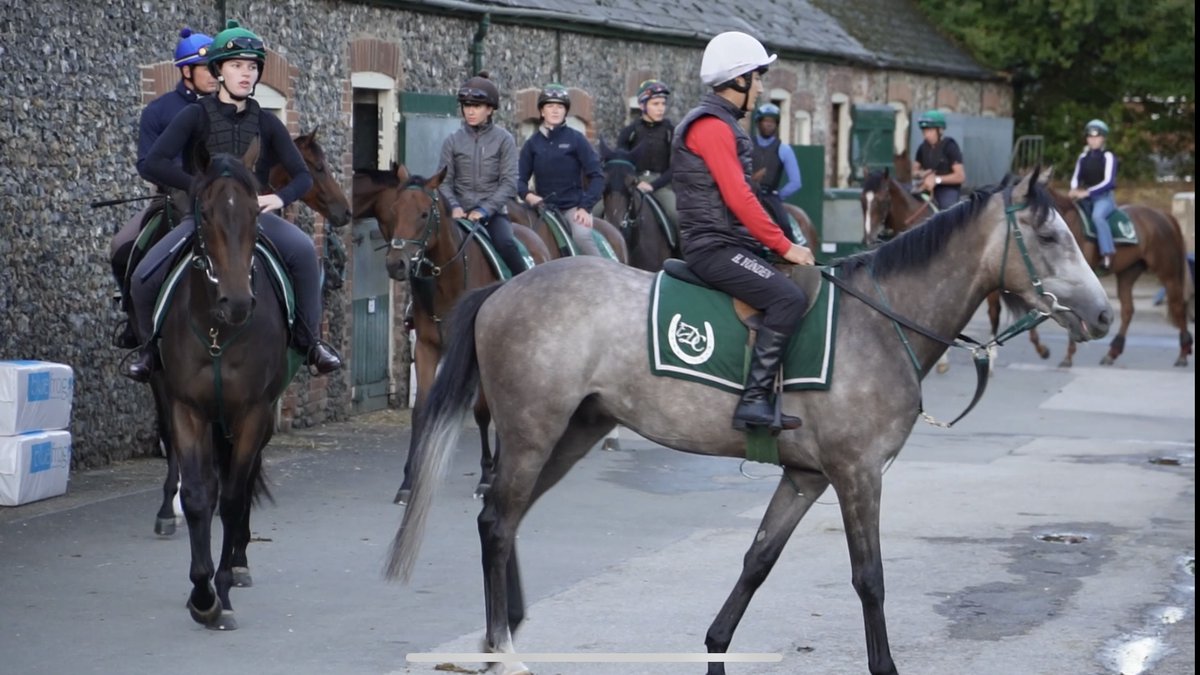 Tonight…

✔️ Witness a scoping in action
✔️ How the yard goes the extra mile for the horses. 

If you missed the first video, you can catch up through the link and watch my earlier work.

This is a fully self-funded project; every share, comment, and bit of support is truly