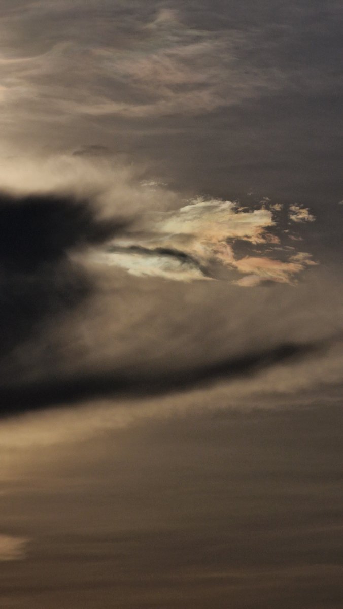 黄推福利内容 - SpicyGum✨的精彩图片 福利姬SpicyGum✨分享的黄推图片1 - 网红私拍内容