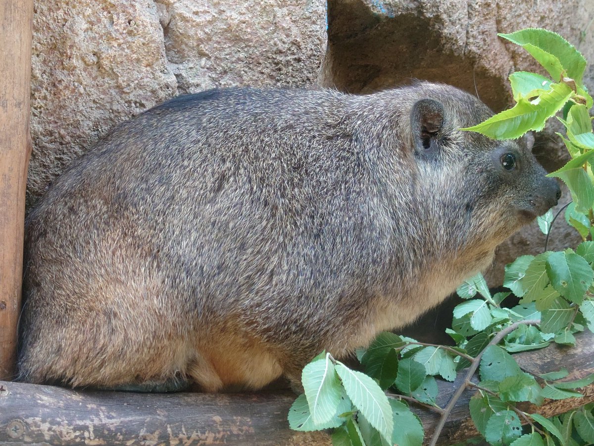 カッパさん (@kappashan13) / Posts / X