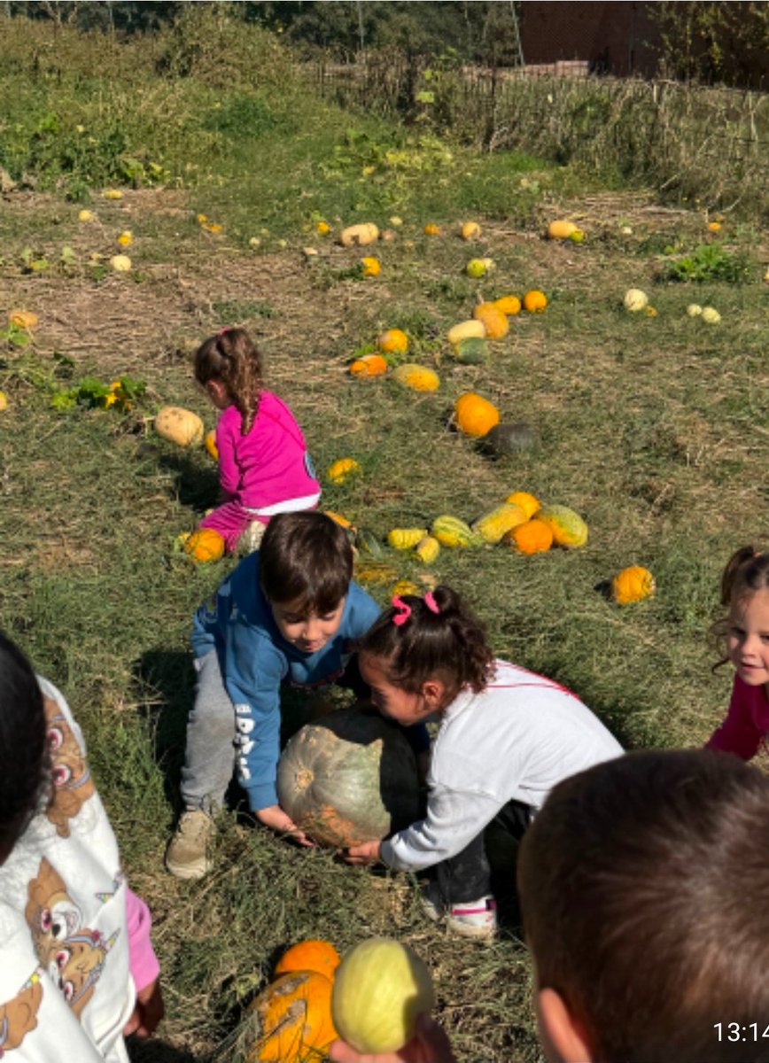Com hem gaudit dels colors i fruits de la #tardor a #CanMasPascual !. Fins i tot hem pujat en tractor! Quina aventura!
#medinatural
#descobertadelentorn
#compartim