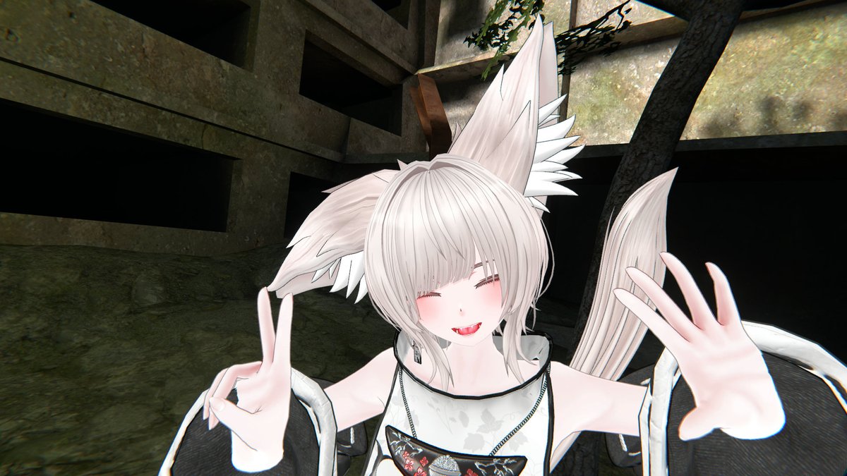 kirima44's tweet photo. おはようございます　今日は仙猫ちゃんで撮ってみた https://t.co/7Jh6tANmi3