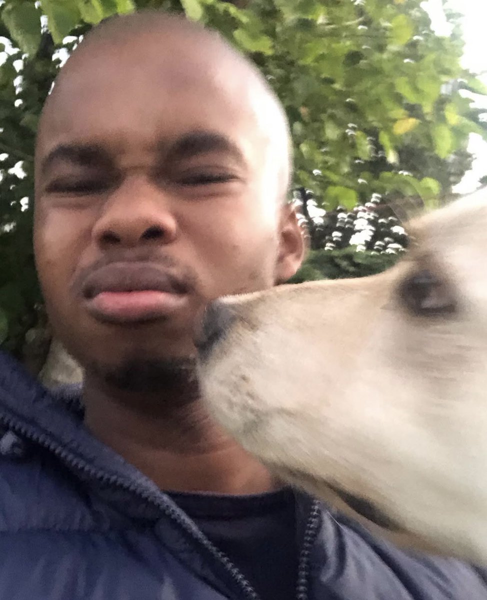 AfricasThoughts's tweet photo. eyy i really loved this dog man 😔💔 https://t.co/oVSdx4SqbK