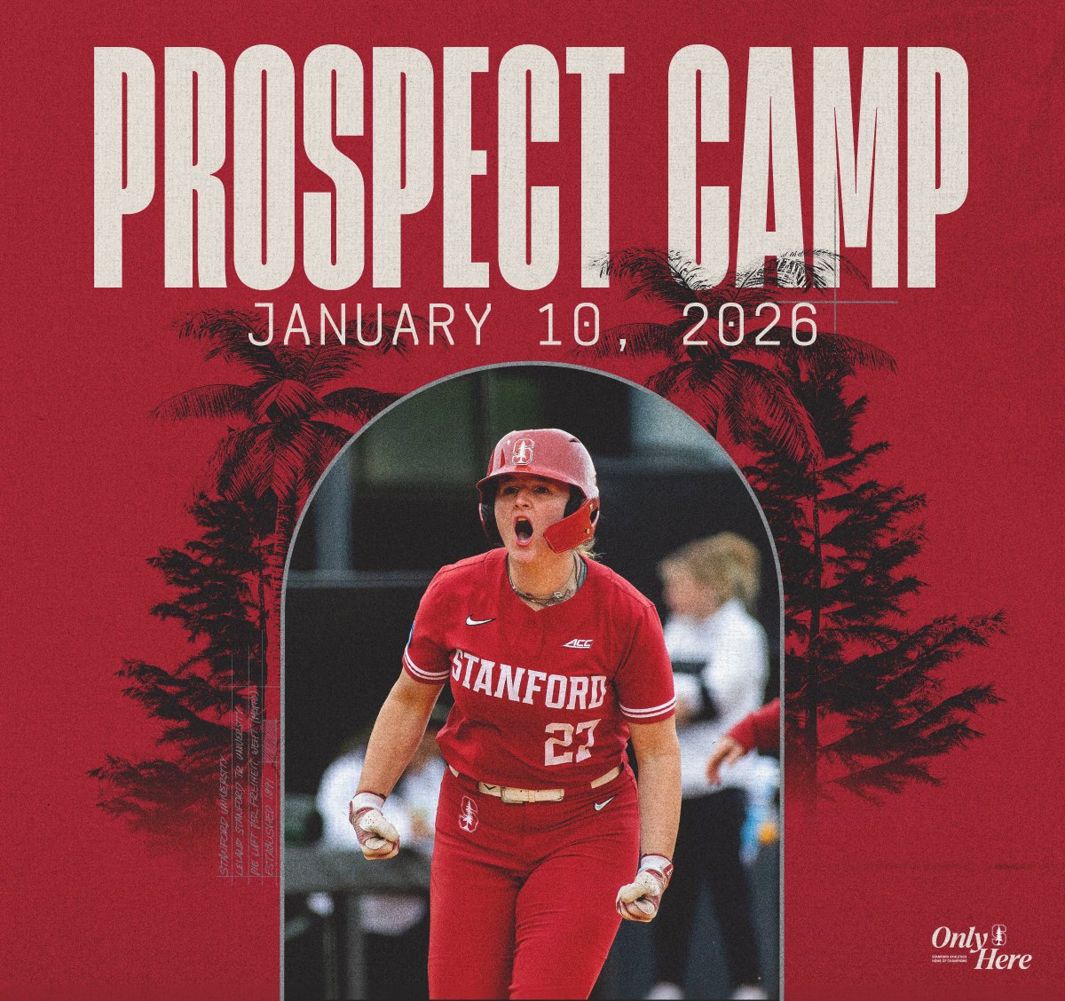 Sara Groenewegen, OLY tweet media